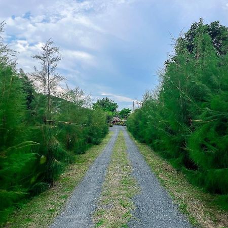 North Pine Forest Homestay บ้านไม้สนโฮมสเตย์ Ban Mae Pong 外观 照片