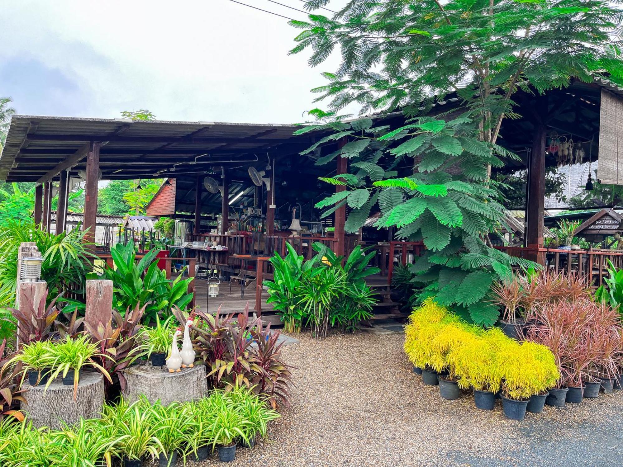 North Pine Forest Homestay บ้านไม้สนโฮมสเตย์ Ban Mae Pong 外观 照片