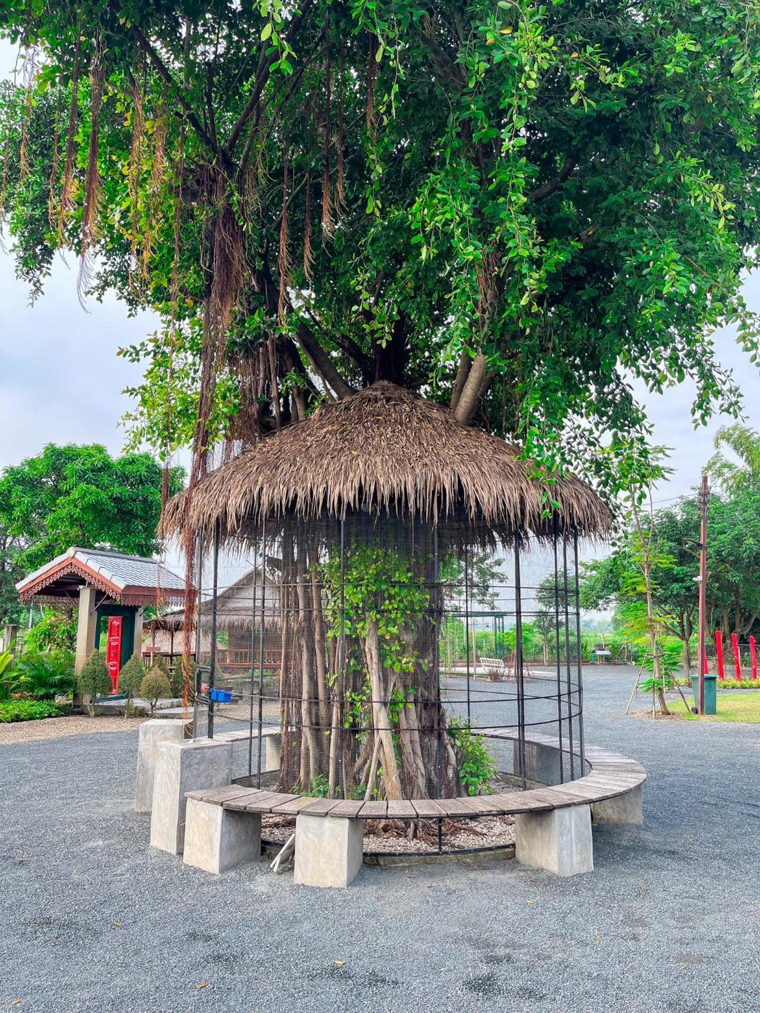 North Pine Forest Homestay บ้านไม้สนโฮมสเตย์ Ban Mae Pong 外观 照片