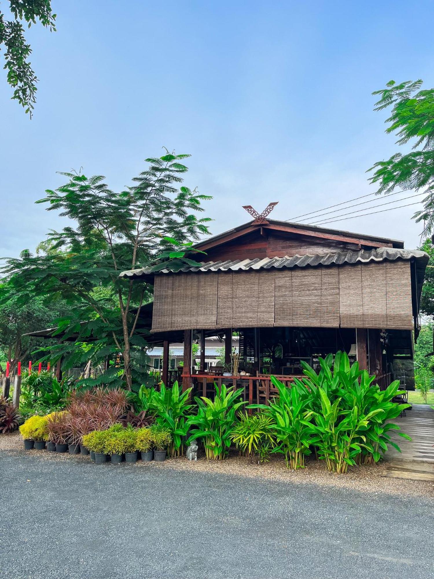 North Pine Forest Homestay บ้านไม้สนโฮมสเตย์ Ban Mae Pong 外观 照片