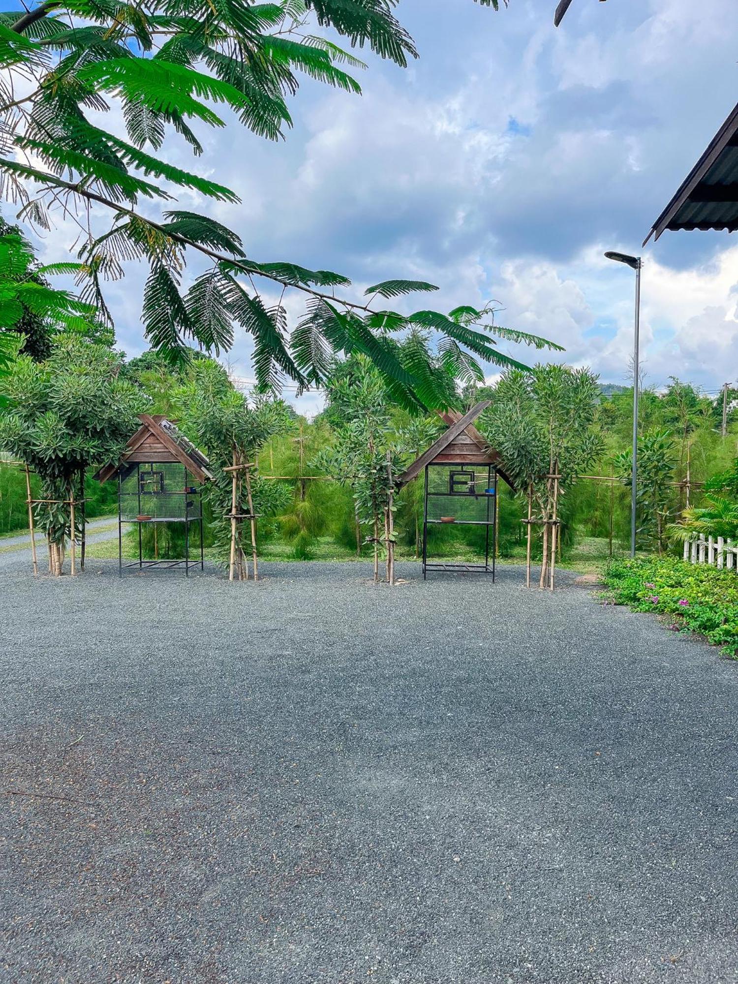 North Pine Forest Homestay บ้านไม้สนโฮมสเตย์ Ban Mae Pong 外观 照片