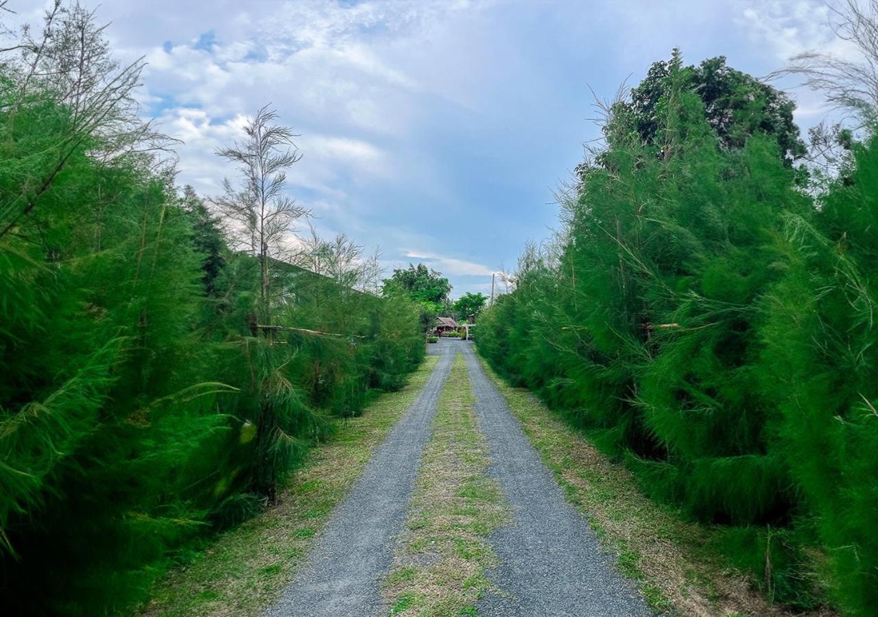 North Pine Forest Homestay บ้านไม้สนโฮมสเตย์ Ban Mae Pong 外观 照片