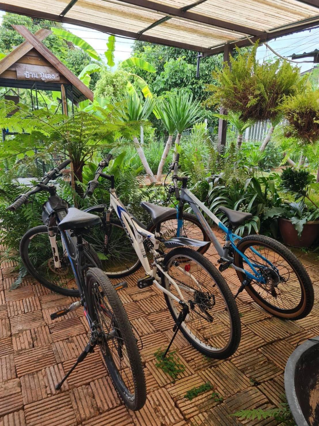 North Pine Forest Homestay บ้านไม้สนโฮมสเตย์ Ban Mae Pong 外观 照片